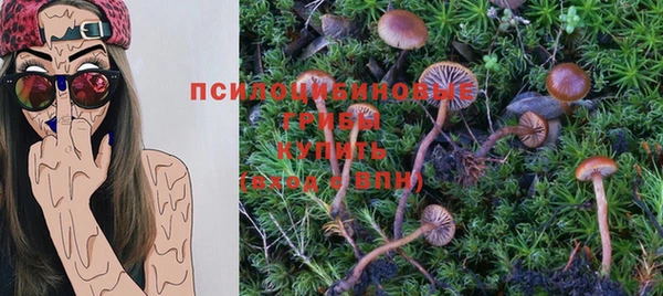бутират Баксан