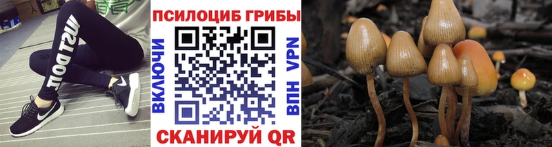 Псилоцибиновые грибы Cubensis Горняк