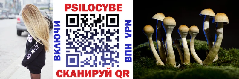 купить  цена  Горняк  MEGA ТОР  Галлюциногенные грибы ЛСД 